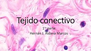 1 de 3. Tejido conectivo propiamente dicho o no especializado. Hernán Aldana Marcos