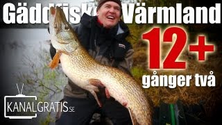 12+ gånger två - Gäddfiske i Värmland