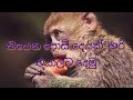 වෙනස් විදිහට හිතමු. motivation sinhala success selfimprovement successmindset love