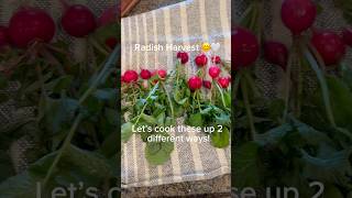 Radishes are underrated! Here are my favorite ways to cook them! #recipe #youtubeshorts