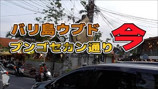 バリ島ウブド・プンゴセカン通りは今どうなっているの？2022年4月末の状況をレポート