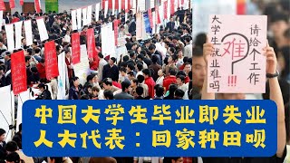 中国大学生毕业即失业，人大代表：回家种田呗！#毕业 #失业