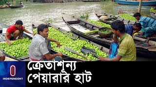 প্রতি মন পেয়ারা বিক্রি হচ্ছে মাত্র দুইশো টাকায় || #Floating Guava Market