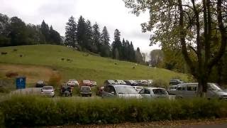 Cow Bells in Isny Im Allgäu, Germany