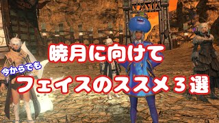 【FF14】今からでも遅くない個人的フェイスのメリット（ススメ）３選