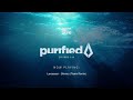 purified radio 310