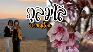 EP.112 รีวิวที่พักไร่ลมหนาว และล่าสุดดอกนางพญาเสือโคร่ง ภูลมโล(Phulomlo) อช.ภูหินร่องกล้า จ.พิษณุโลก