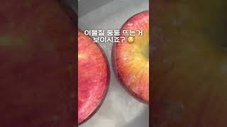 사과세척 꿀팁🍎