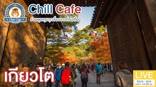 Chill Cafe : 10 ที่เที่ยวต้องไปเช็คอิน เกียวโต