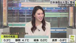 白井家情報《白井ゆかり》