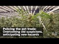 Policing The Pot Trade | San Diego Union-Tribune