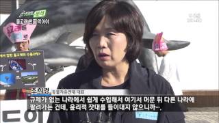 [뉴스 인사이드-분석]③ 돌고래 우회 거래 오명 벗어야(2015.11.08.일)