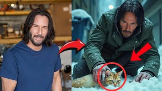 A Wounded Cat Stuck in the Cold How Keanu Overcame Humiliation to Save a Life