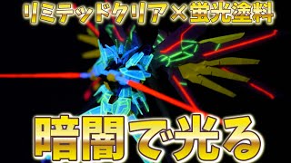 【ガンプラ】暗闇で光る！Blu-ray特典のHGマイティーストライクフリーダムガンダムリミテッドクリアを組み立て・塗装したら楽しすぎた！