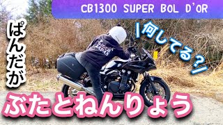 バイク走行前点検のお茶目な一面！パンダヘルメットの女子ライダーが楽しく走行前チェックを楽しんでる♪