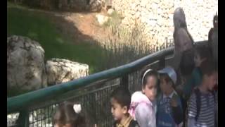 A day at the Jerusalem Biblical Zoo