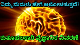 How the Brain works? Mind blowing Brain facts | kannada