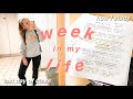 college week in my life || how I study, exams, last day of class - university of tennessee