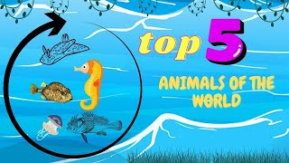 sea yellow boxfish And 5 amazing sea animals of the world