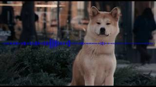 Jan Kaczmarek - Goodbye Hachiko (A Dog's Tale OST)