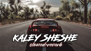 Kaley Sheshe Addy Nagar Slowed Reverb|