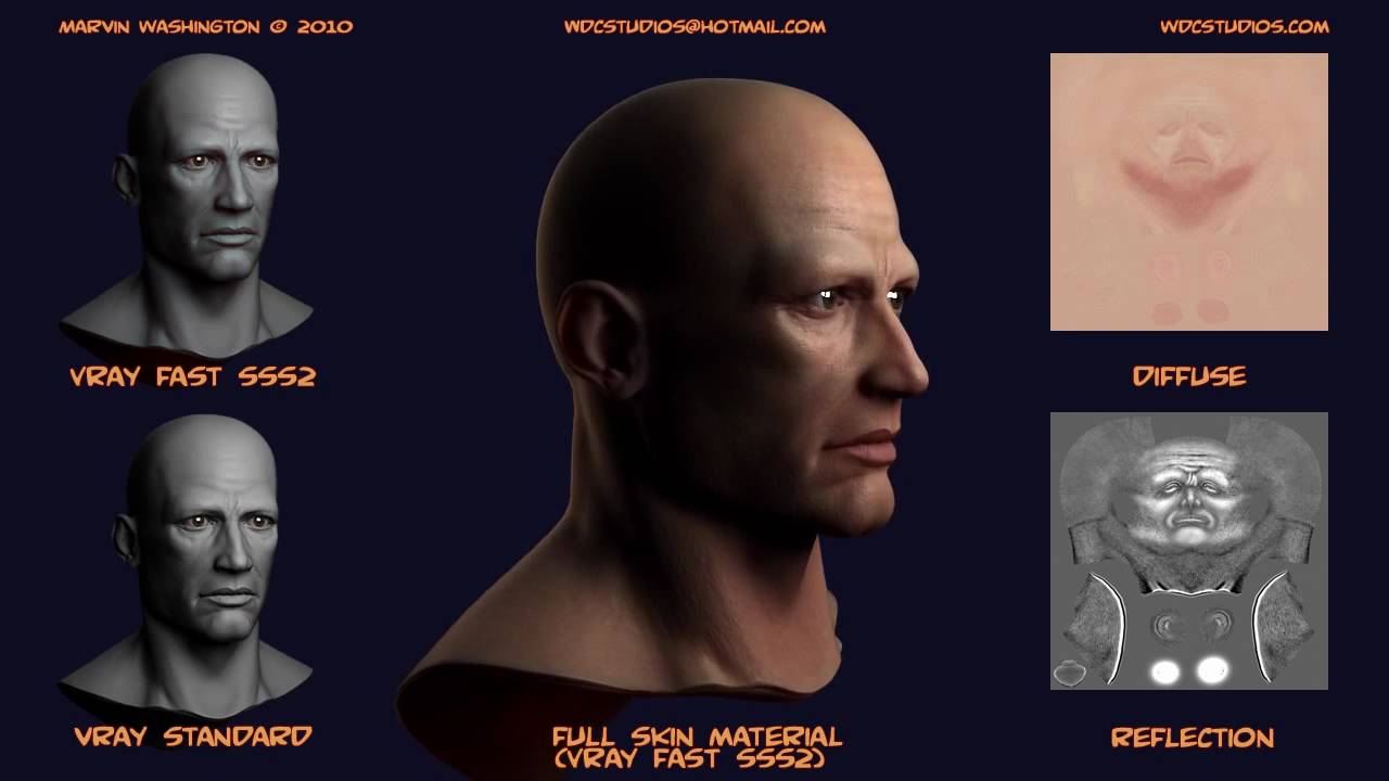 Head Study V3 Youtube