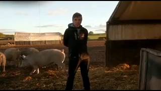 #Oink - LEAF Education Farming Fortnight