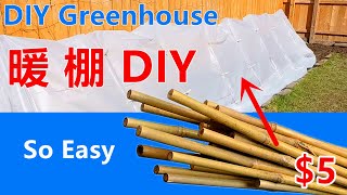 快速搭建小暖棚，$5刀搭建小暖棚。DIY Greenhouse, Easy To Build.