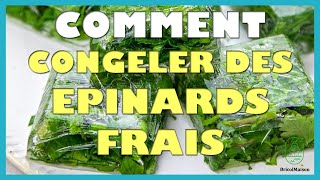 Comment congeler des epinard frais