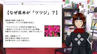 福岡県を象徴する木「県木（けんぼく）」について解説してみた♪博多弁を話す福岡県出身＆在住VTuber（ブイチューバ―・バーチャル）が紹介＆解説♪