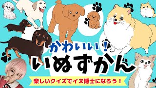 【かわいい動物♡いぬ図鑑】赤ちゃん喜ぶ！子供が喜ぶ！犬の種類と豆知識を覚えるクイズ知育動画｜幼児｜Dogs anime for kids