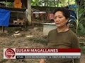 24 Oras: Good News: Babae, inilaan ang buhay sa pag-aalaga sa mga inabandonang aso at pusa