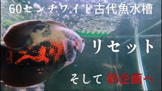 【アクアリウム】60センチワイド古代魚水槽リセット！！そして新たな企画へ！