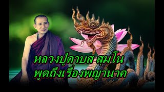 หลวงปู่ดาบส สุมโน พูดถึงเรื่องพญานาค