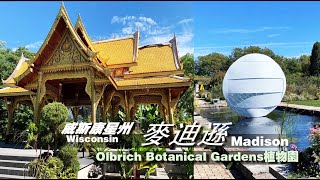 【游遍美国50州】威斯康星州 首府 麦迪逊  Olbrich Botanical Garden 植物园 ｜美国公路旅行1️⃣