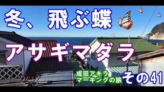 健康の秘訣・アサギマダラ・アサギマダラマーキング・その41・日産セレナ車中泊・成田アキラ（漫画家）