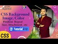 CSS Background Image, Size, Repeat, Position, etc | CSS Tutorial # 12