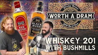 Whiskey 201 with Bushmills - 1 Year Anniversary Revisit ft. Red Bush \u0026 Black Bush (SFW lol)