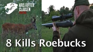 Kristoffer Clausen hunting roebucks 8 kills. Bukkejakt 8 fellinger