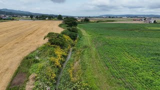 2024.08.20　由仁町古川の田園風景空撮