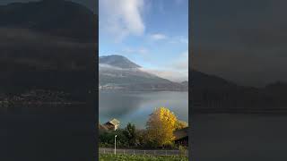 #LakeLucerneViews#MtRigiMagic#GoldenLeaves#ScenicTrainRide#SwissTravelInspiration#AutumnAdventures