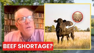 The LOWEST Number of COWS Since 1950? Joel Salatin on the Beef Shortage