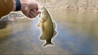 This creek is LOADED with multiple species! | Fly Fishing