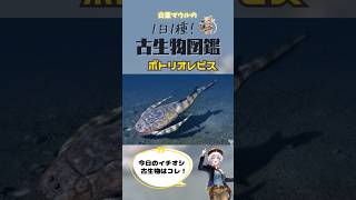 【１日１種！古生物図鑑】ボトリオレピス #化石 #古代生物