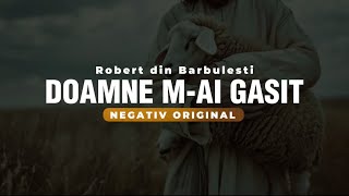 Negativ Robert din Bărbulești Ma găsit M-a salvat