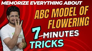 ABC model of flower development for CSIR NET | Floral organ identity genes