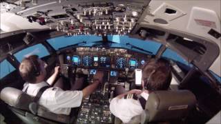 B738 High speed Rejected Takeoff demo