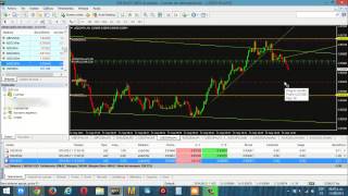 Trading En Vivo Con Zid