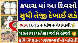 કપાસમાં આ દિવસો સુધી તેજી દેખાઈ શકે l kapas na bhav l cotton l khedut l commodity Trend