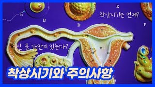 난임한의원의 불임극복- 착상시기와 주의사항